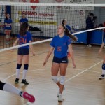 Sokol Zalet – Zalet Dvigala Barich