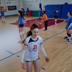 Sokol Zalet – Zalet Dvigala Barich