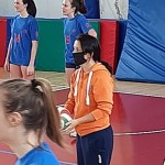 Sokol Zalet – Zalet Dvigala Barich