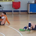 Sokol Zalet – Zalet Dvigala Barich