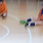 Sokol Zalet – Zalet Dvigala Barich