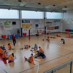 Sokol Zalet – Zalet Dvigala Barich