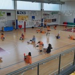 Sokol Zalet – Zalet Dvigala Barich