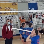 Sokol Zalet – Zalet Dvigala Barich