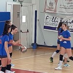 Sokol Zalet – Zalet Dvigala Barich