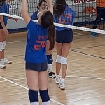 Sokol Zalet – Zalet Dvigala Barich