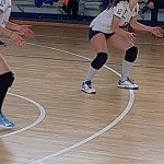 Sokol Zalet – Zalet Dvigala Barich