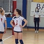 Sokol Zalet – Zalet Dvigala Barich