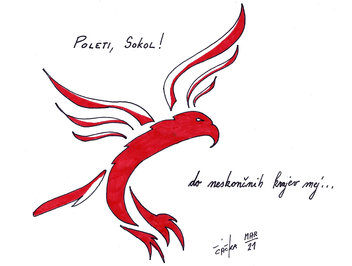 Kekove vinjete: poleti, Sokol!