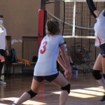 Zalet Dvigala Barich - Kontovel