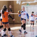 Zalet Dvigala Barich - Kontovel