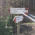 Mladinini planinci na vrhu Ojsternika