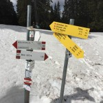 Mladinini planinci na vrhu Ojsternika