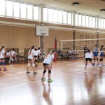 Sloga Dvigala Barich - Bor