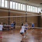 Sloga Dvigala Barich - Bor