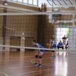 Sloga Dvigala Barich - Bor