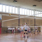 Sloga Dvigala Barich - Bor