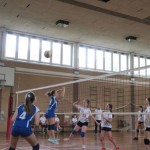 Sloga Dvigala Barich - Bor