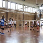 Sloga Dvigala Barich - Bor