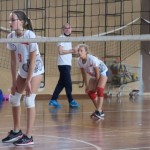 Sloga Dvigala Barich - Bor