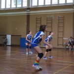 Sloga Dvigala Barich - Bor