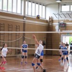 Sloga Dvigala Barich - Bor