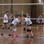 Sloga Dvigala Barich - Bor