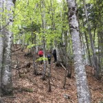 Jôf di Miezengot (Poldnašnja špica) 2.087m