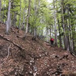 Jôf di Miezengot (Poldnašnja špica) 2.087m