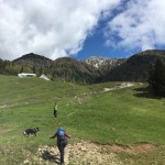 Jôf di Miezengot (Poldnašnja špica) 2.087m