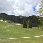 Jôf di Miezengot (Poldnašnja špica) 2.087m