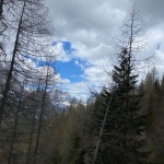 Jôf di Miezengot (Poldnašnja špica) 2.087m