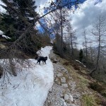Jôf di Miezengot (Poldnašnja špica) 2.087m
