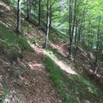 Planinski odsek AŠD Mladina: obisk v dolini Valcellina