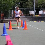 Poletne šole z ZSŠDI