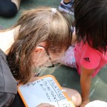 Poletne šole z ZSŠDI