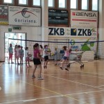 Poletne šole z ZSŠDI