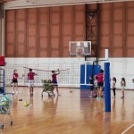 Poletne šole z ZSŠDI