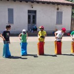 Poletne šole z ZSŠDI