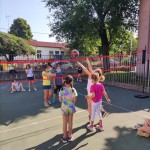 Poletne šole z ZSŠDI