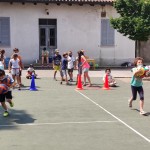 Poletne šole z ZSŠDI