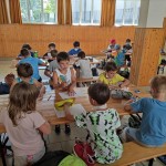 Poletne šole z ZSŠDI