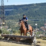 Sport - JAHANJE - JD Dolga Krona - evropski pokal in italijansko prvenstvo v trecu