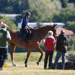 Sport - JAHANJE - JD Dolga Krona - evropski pokal in italijansko prvenstvo v trecu