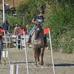 Sport - JAHANJE - JD Dolga Krona - evropski pokal in italijansko prvenstvo v trecu