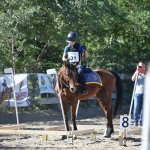 Sport - JAHANJE - JD Dolga Krona - evropski pokal in italijansko prvenstvo v trecu