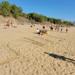 Pri Zaletu navdušeni