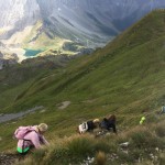AŠD Mladina: jezero Volaia in vrh gore Rauchkofel