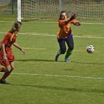 Sport - NOGOMET - POKAL 2. AL – Primorje – Vesna