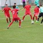 Elitna liga Primorec-Torviscosa